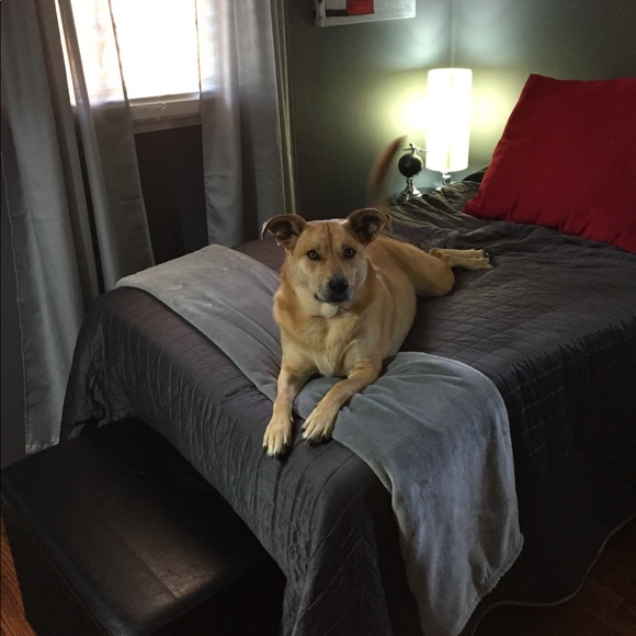 Meet your Posher, Rebecca - Picture 1 of 1